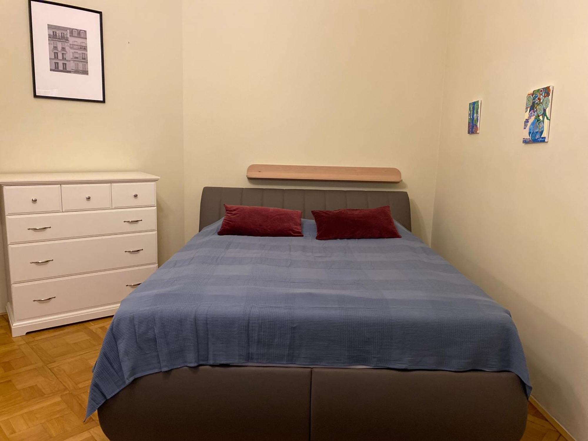 Apartamento V Centru Prahy Praga